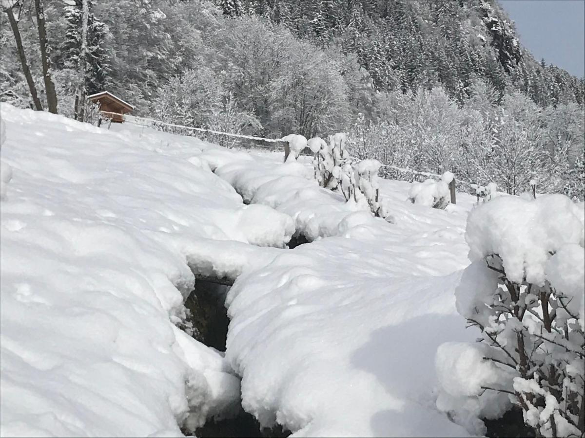 Le Blanc Nordique Le Bouchet-Mont Charvin Exterior foto