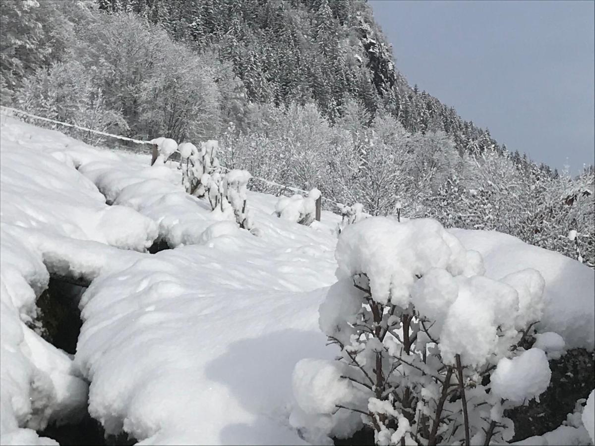 Le Blanc Nordique Le Bouchet-Mont Charvin Exterior foto